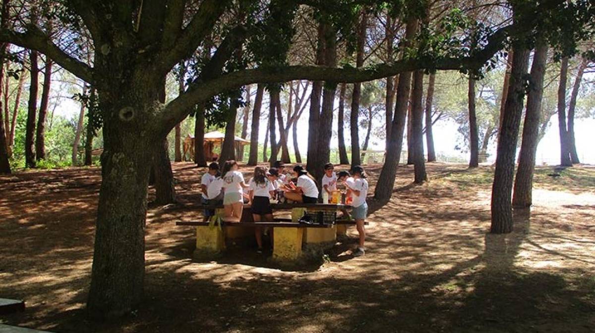 CAMPAMENTO TADEO JONES EN TARRAGONA Precios
