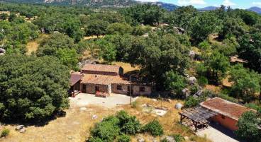 CAMPAMENTO DE VERANO LINGUA (INCLUSIVO)