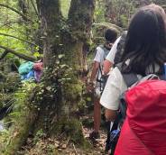 Foto 1 de CAMPAMENTOS 2025. ONIRIA: EL MUNDO DE LOS SUEÑOS