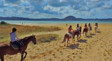 CAMPAMENTOS VERANO INGLÉS Y SURF VIAJES ESCOLARES